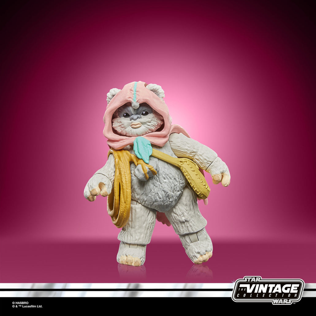 Star Wars: The Vintage Collection Wicket & Kneesaa — CrazyCollecting